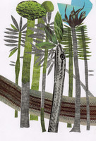 Tropical Rainforest II