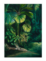 Amazonia