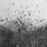 The Murmur of the Forrest I