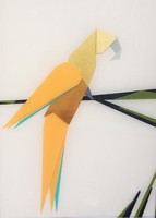 Parrot
