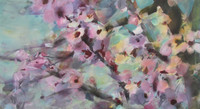 Cherry Blossom