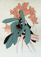 Amaryllis II