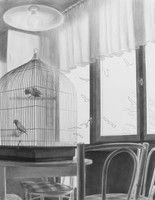 Parrots in a Cage