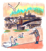 Krmení labutí u Vltavy