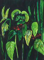 Saint Lucia II