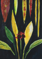 Saint Lucia I