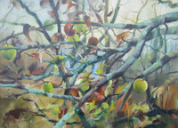Hidden Places: Apple Tree