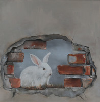 Bílého králíka viděti