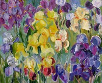 Irises II