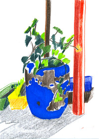 Barrel with Plants