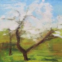 Apple Tree