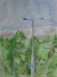 Lamps and Trees
