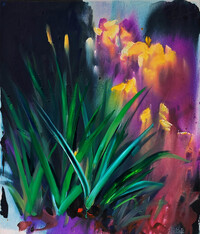 The Light of Irises