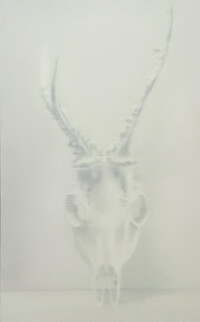 Skull with Antlers