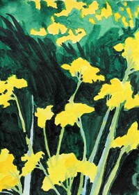 Žluté květy I