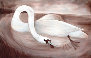 Swan I