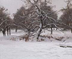 Crooked oak under the snow