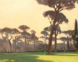 Pine trees in the villa Borghese gardens