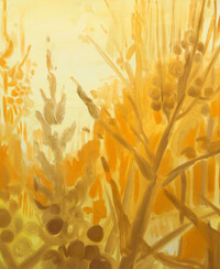 Ochre grasses