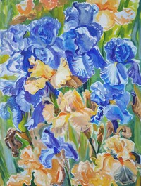 Blue iris