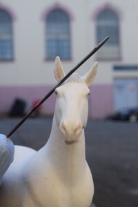 Unicorn