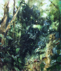 Vegetation above the stream