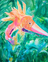 Bird of paradise