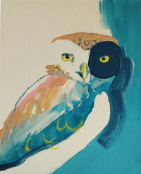 Little Owl