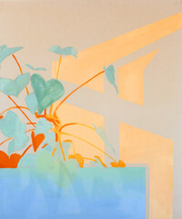 Color transition in the monstera
